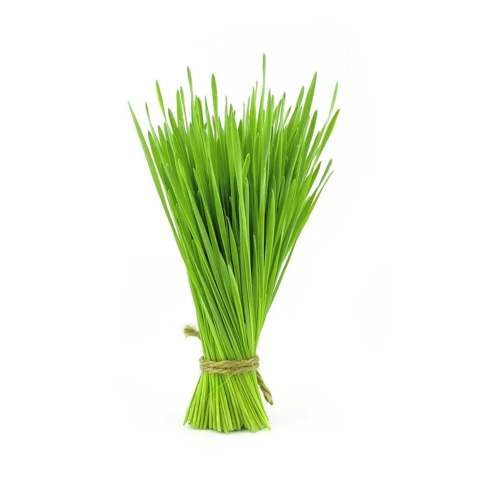 Is Wheat Grass Gluten Free?