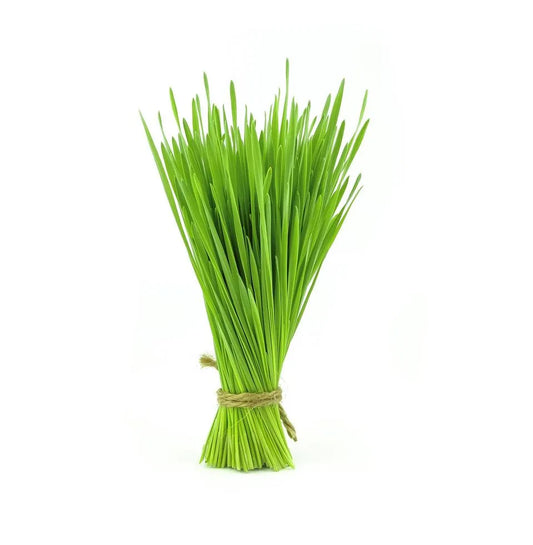 Is Wheat Grass Gluten Free?