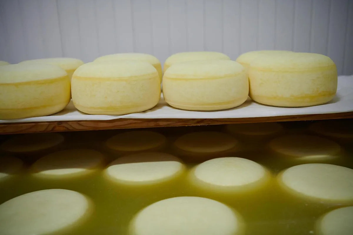 Is Cheese Whey Gluten Free?