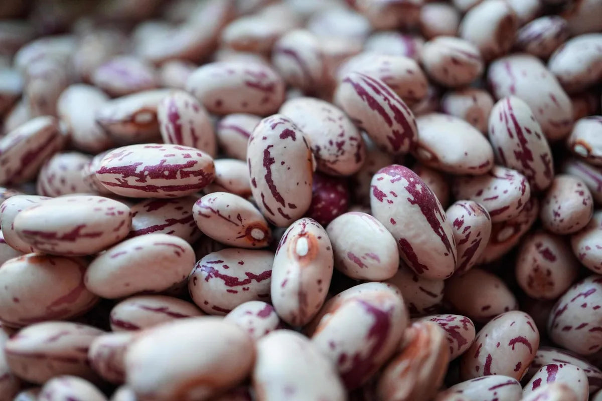 Is Pinto Beans Gluten Free?