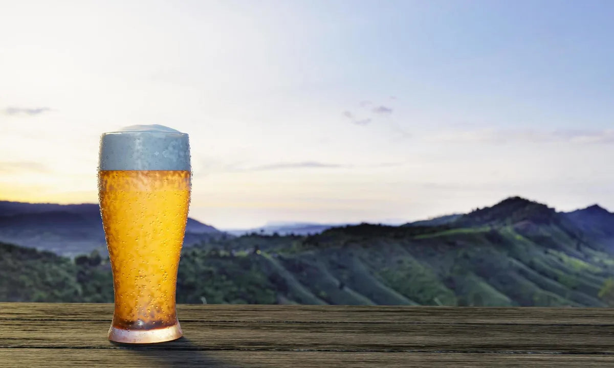 Is Lager Gluten Free?