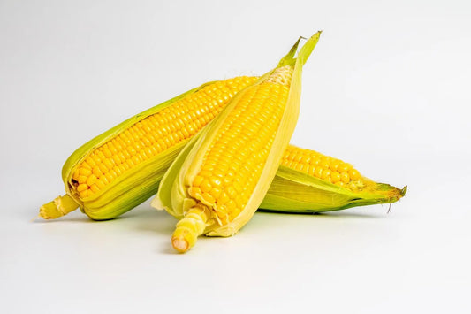 Is Yellow Corn Gluten Free?