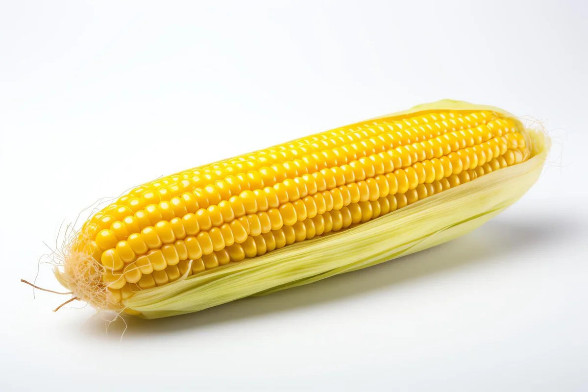 Is Can Corn Gluten Free?