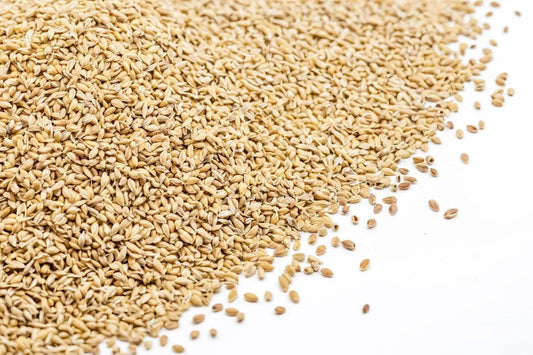 Is Malt Flavor Gluten Free?