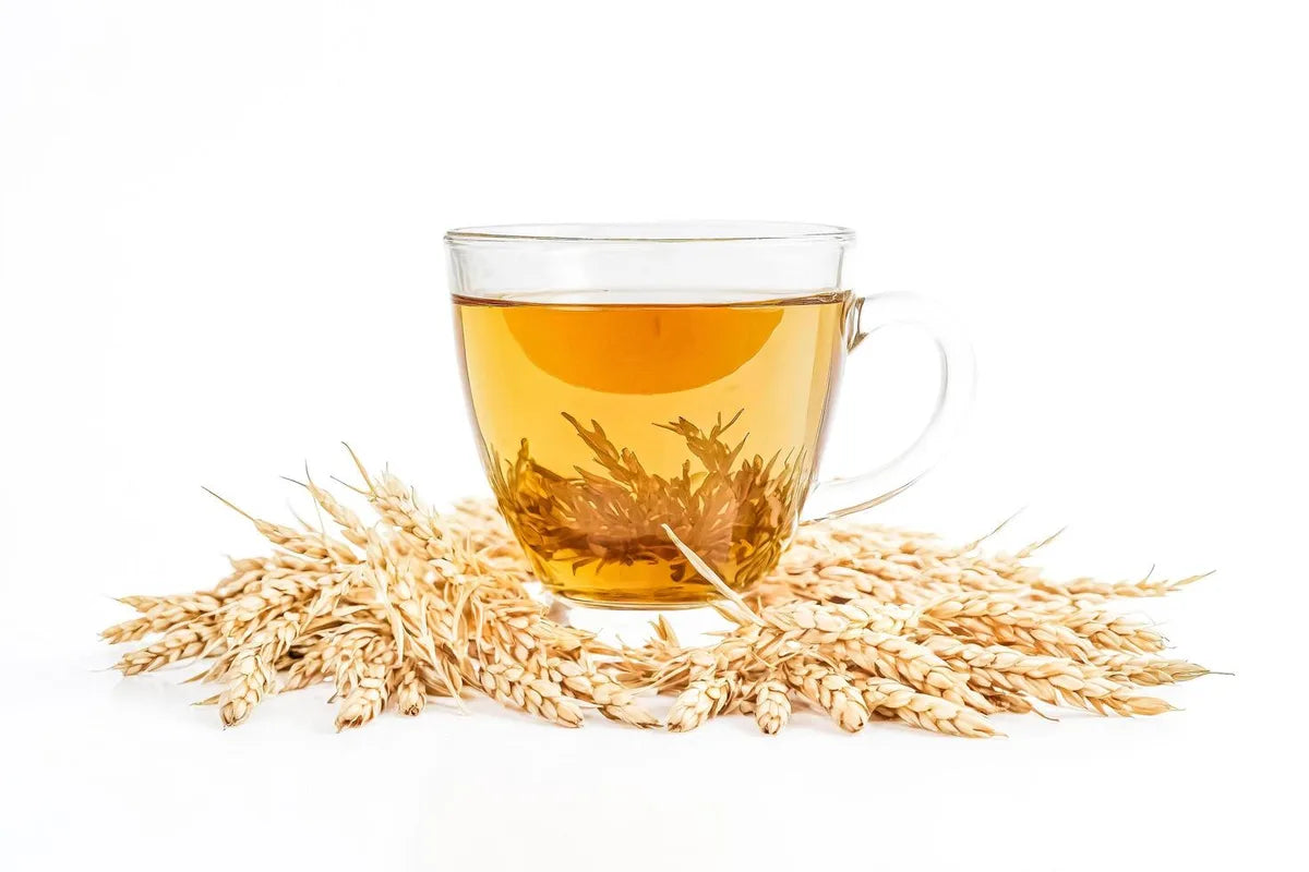 Is Barley Tea Gluten Free?