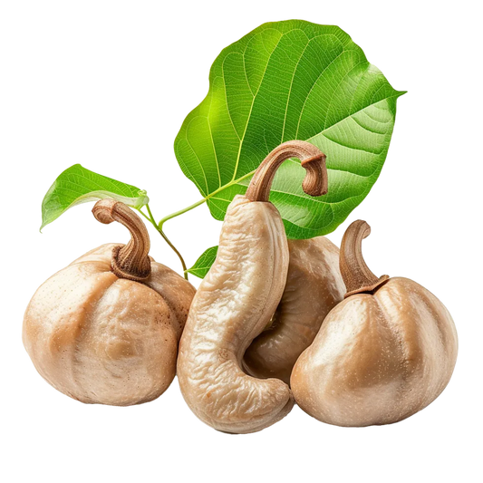 Is Sorgum Gluten Free?
