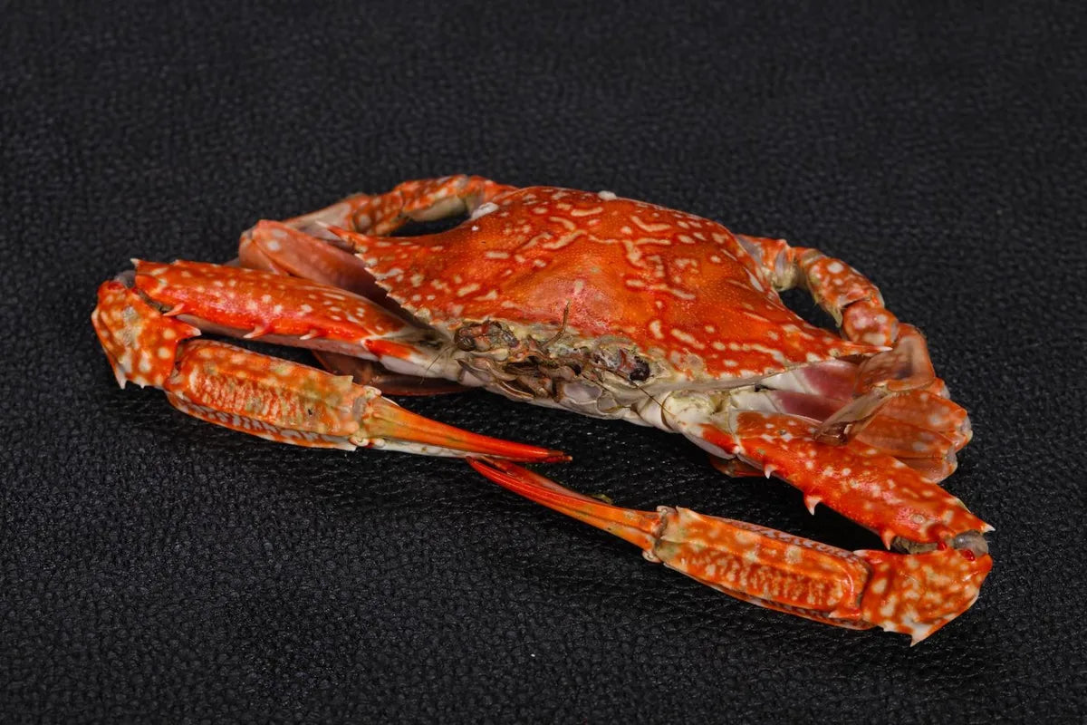 Is Snow Crab Gluten Free?