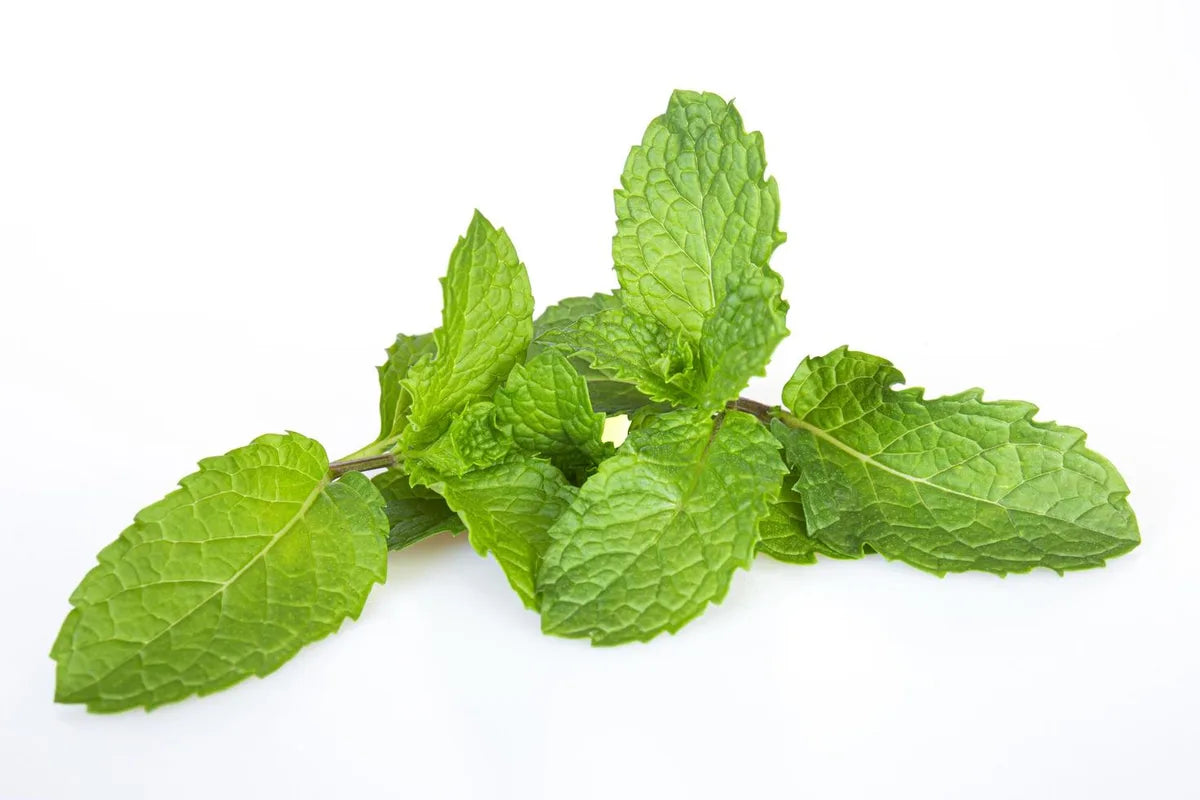 Is Peppermint Gluten Free?