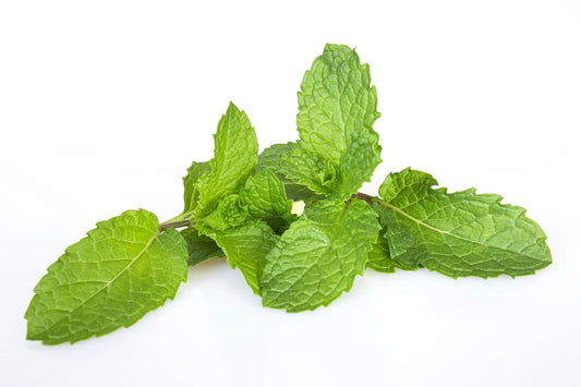 Is Peppermint Gluten Free?
