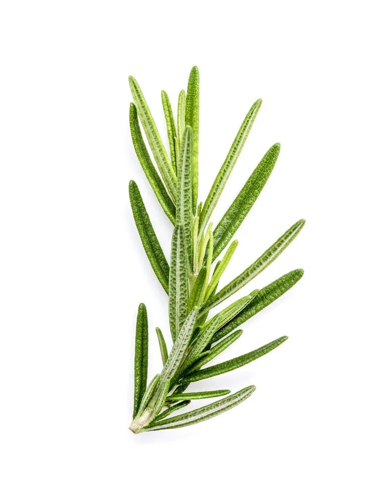 Is Rosemary Gluten Free?