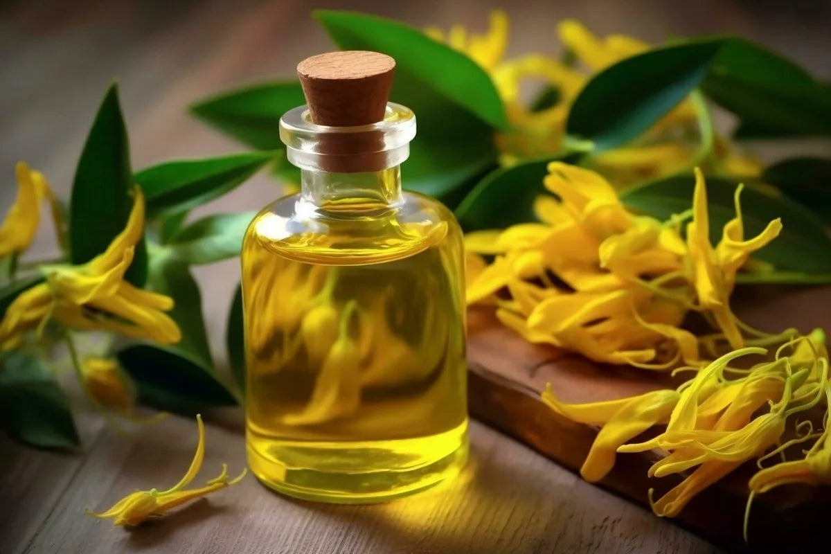 Is Safflower Oil Gluten Free?