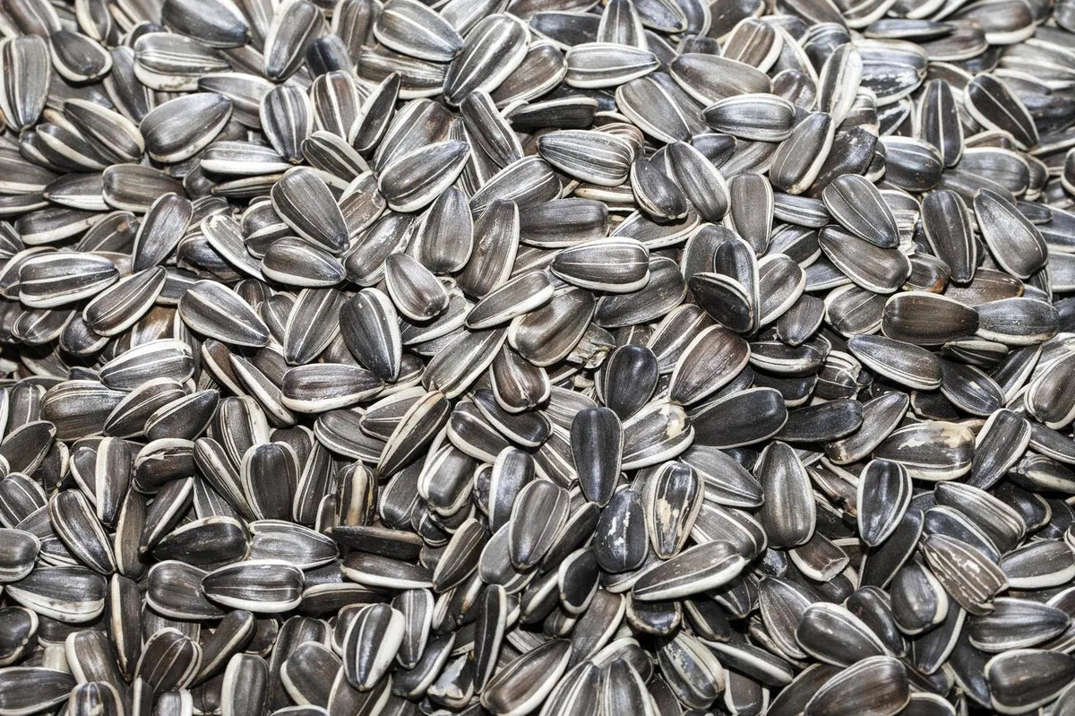 Is Sunflower Seeds Gluten Free?