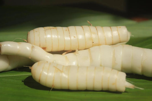 Is Arrowroot Gluten Free?