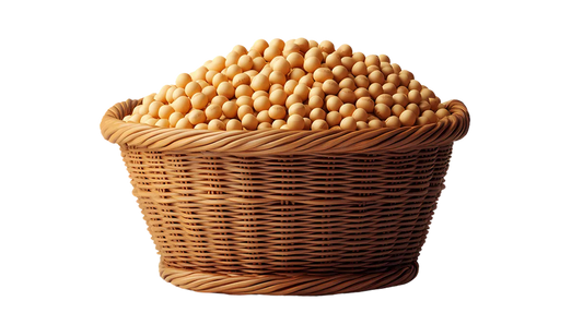 Is Soy Wheat Gluten Free?