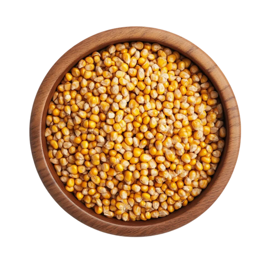 Is Whole Grain Sorghum Gluten Free?