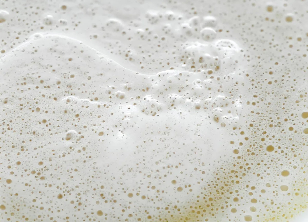 Is Rapid Rise Yeast Gluten Free?