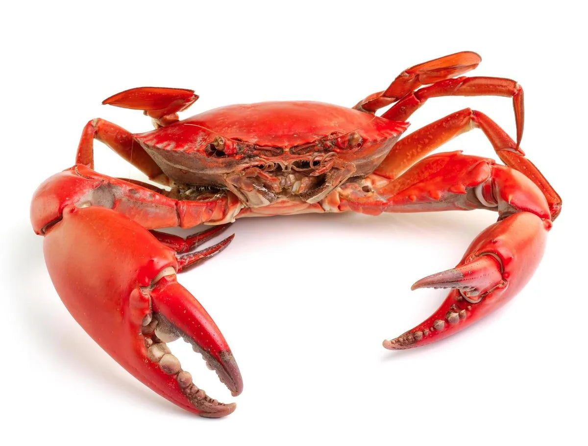 Is Crab Gluten Free?