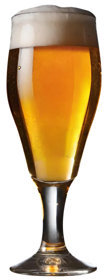 Is Yuengling Gluten Free?