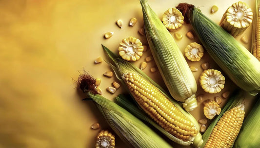 Is Corn Maltodextrin Gluten Free?