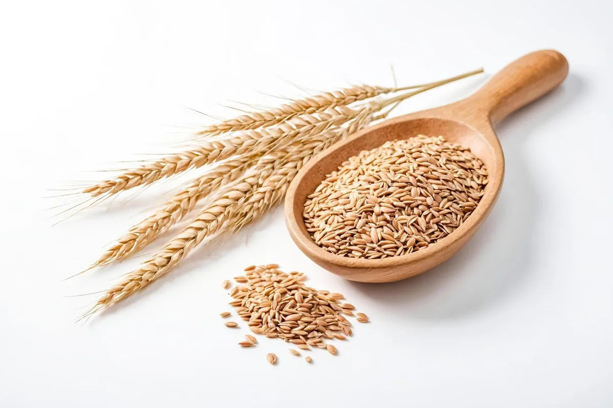 Is Wheat Seed Extract Gluten Free?