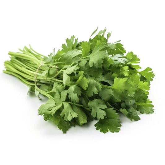 Is Cilantro Gluten Free?