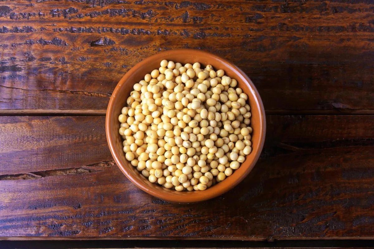 Is Soy Beans Gluten Free?