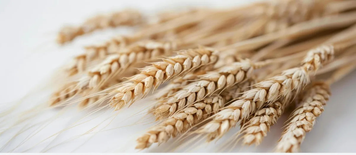 Is Wheat Glucose Syrup Gluten Free?