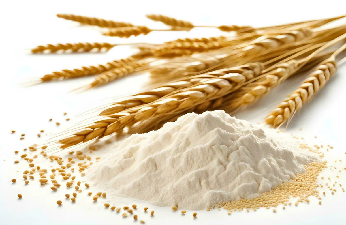 Is Wheat Flour Gluten Free?