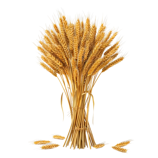 Is Triticale Gluten Free?