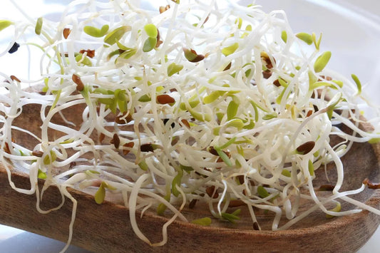 Is Alfalfa Gluten Free?