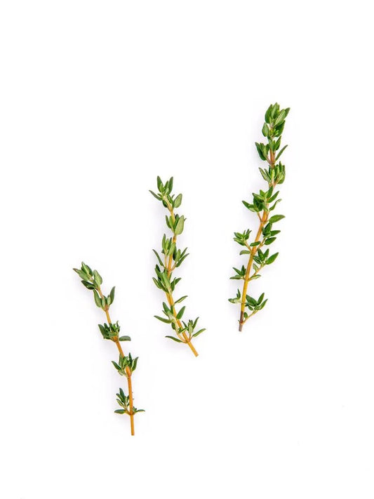 Is Thyme Gluten Free?