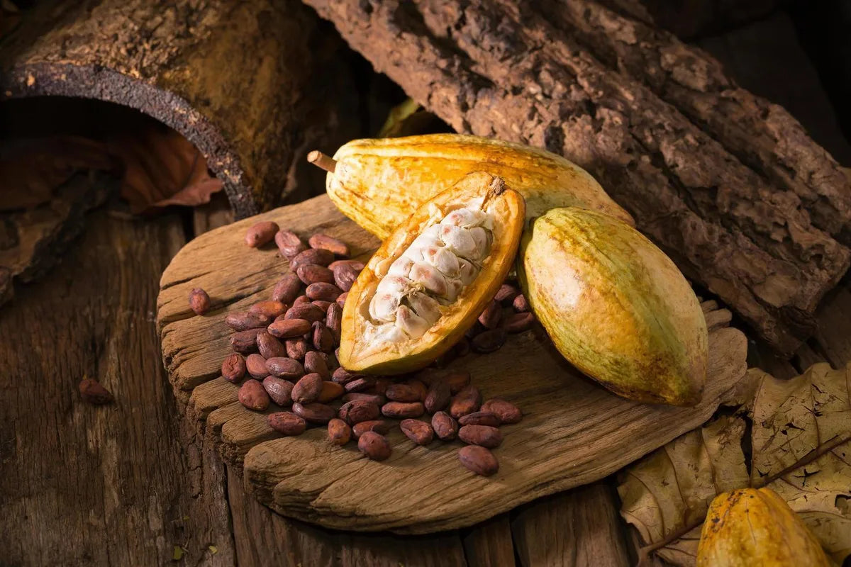 Is Cocoa Gluten Free?