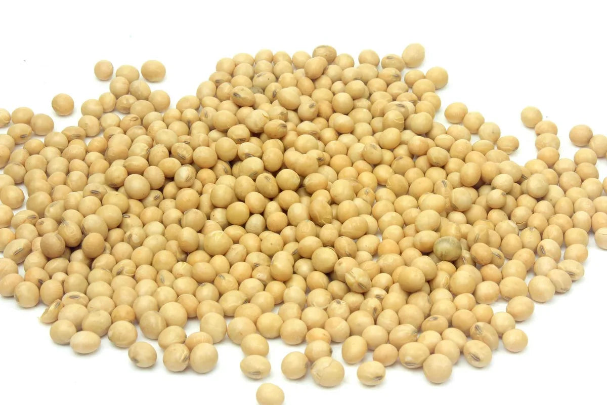 Is Soya Gluten Free?