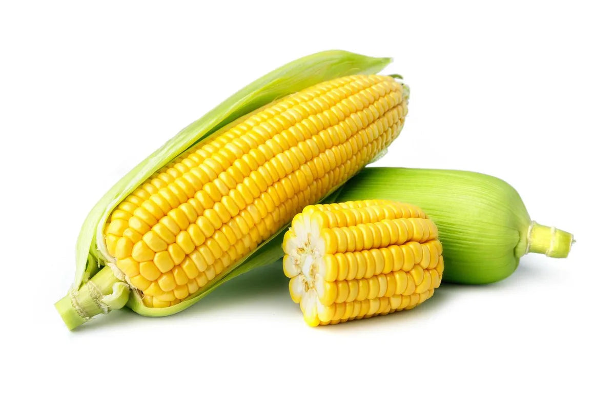 Is Corn Gluten Free?