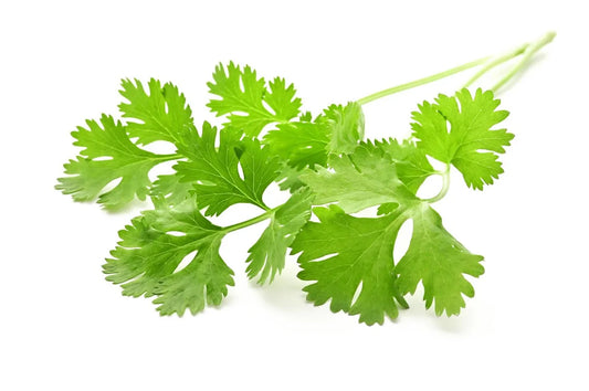 Is Coriander Gluten Free?