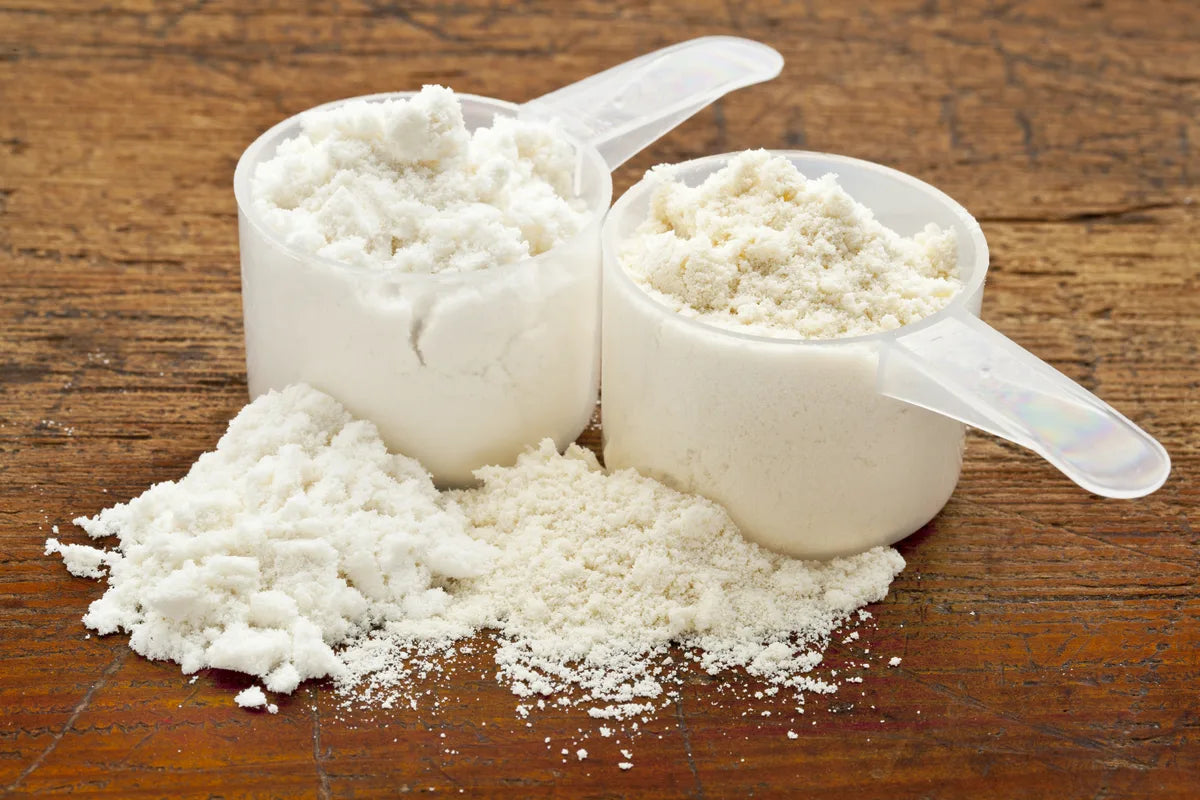 What Protein Powders Are Gluten Free
