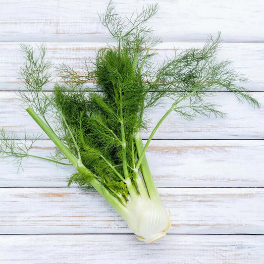 Is Fennel Gluten Free?