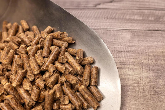 Is Spent Grain Gluten Free?