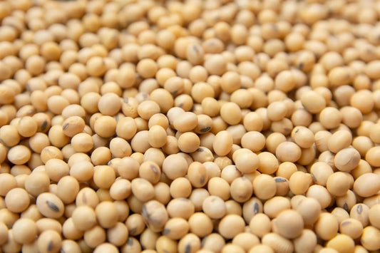 Is Soybean Gluten Free?