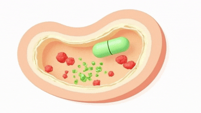 Step 2: Enzymes activate animation